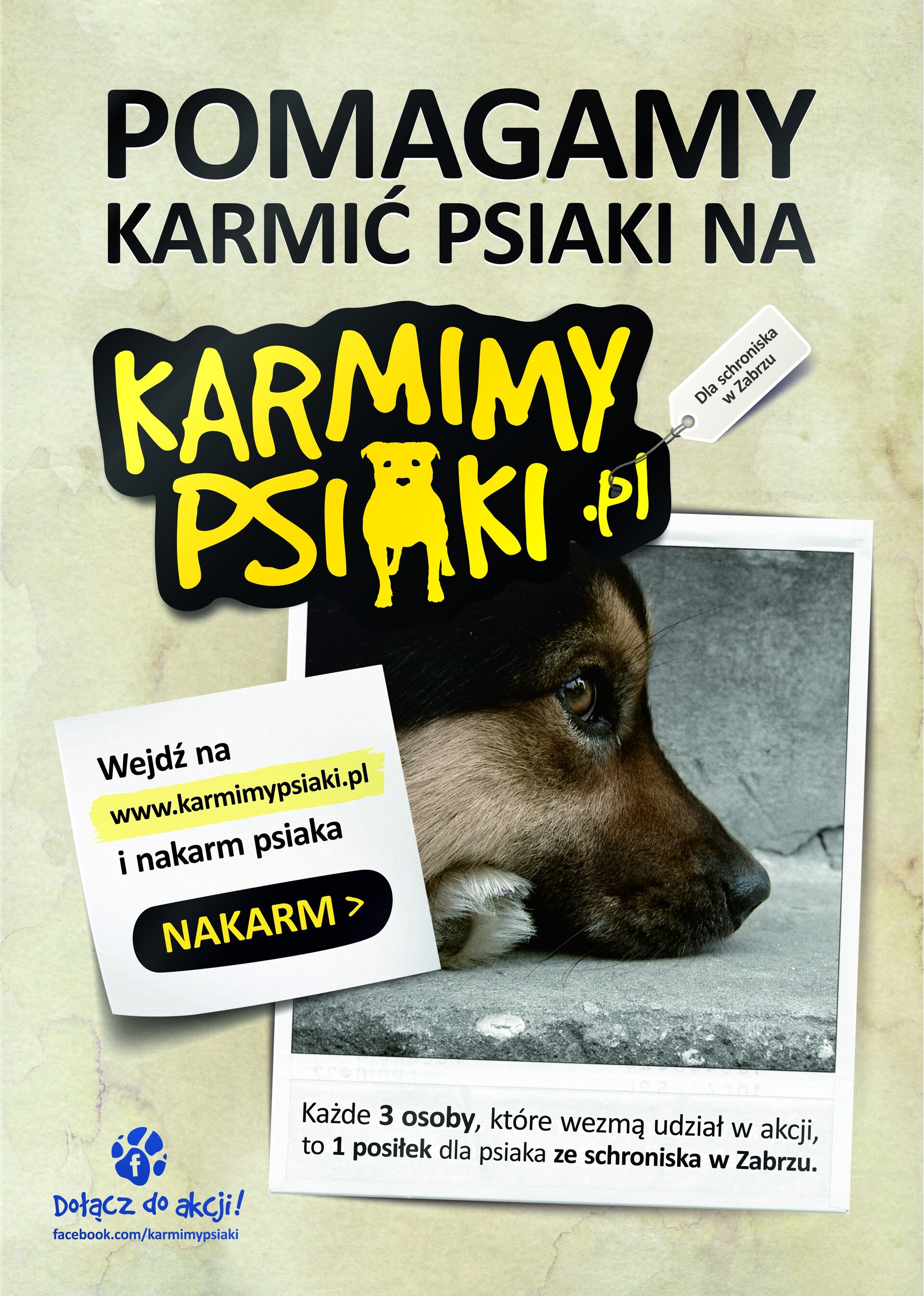 Plakat reklamujący stronę karmimypsiaki.pl